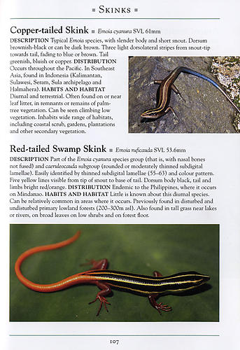 A Naturalist's Guide to the Lizards of Southeast Asia